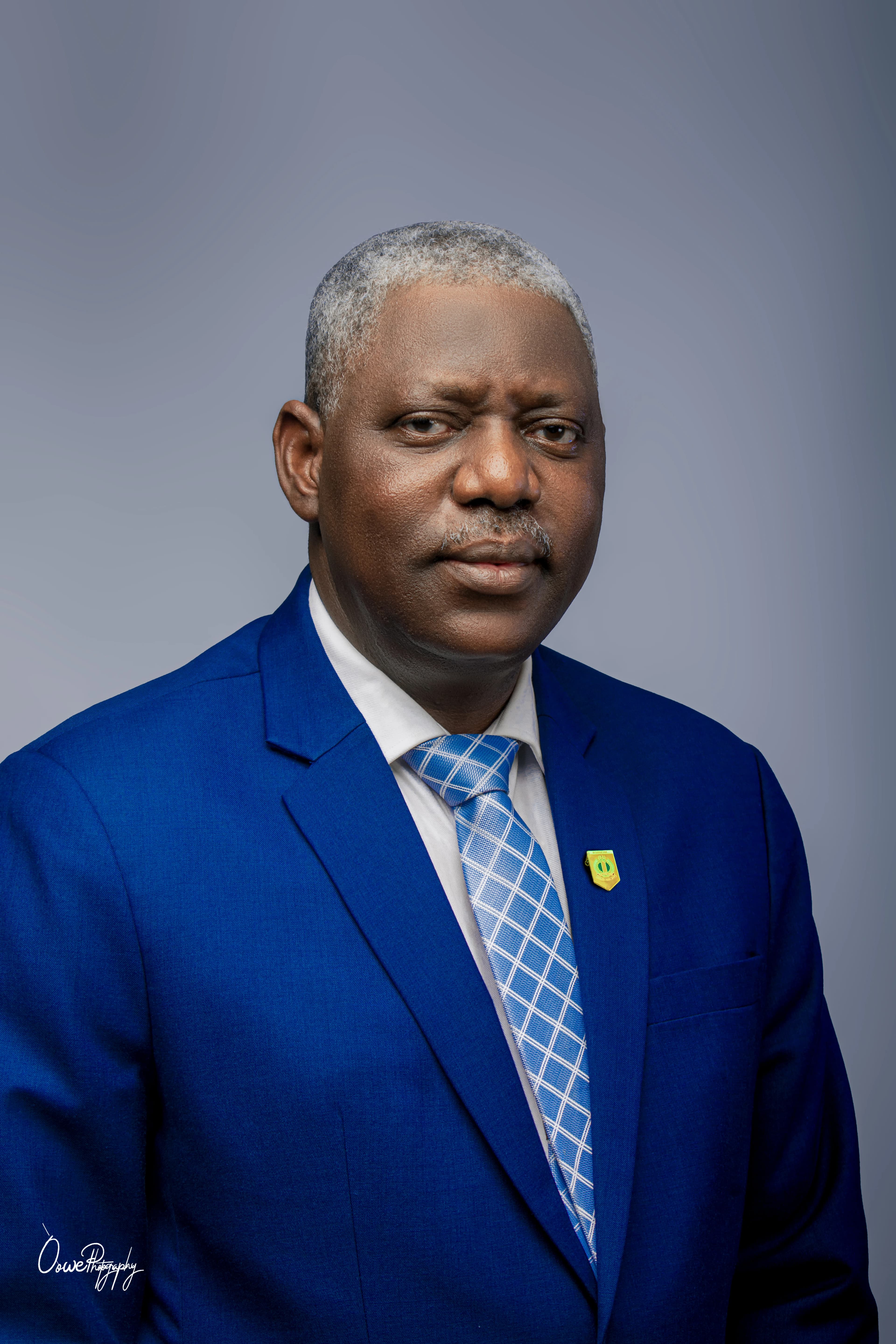 Professor A. A. Anyaegbunam