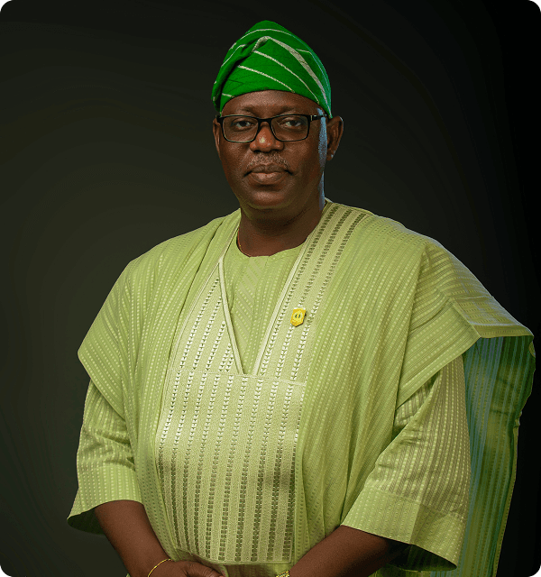 Professor Sola Adeyanju - Director NIPSS-OSKASOGS